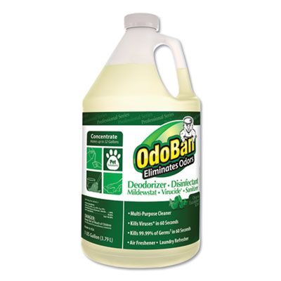 Clean Control 911062G4 OdoBan Deodorizer Disinfectant Cleaner, Eucalyptus Scent, 1 Gallon - 4 / Case